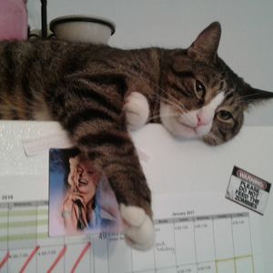 Meet your Posher, Kathryn